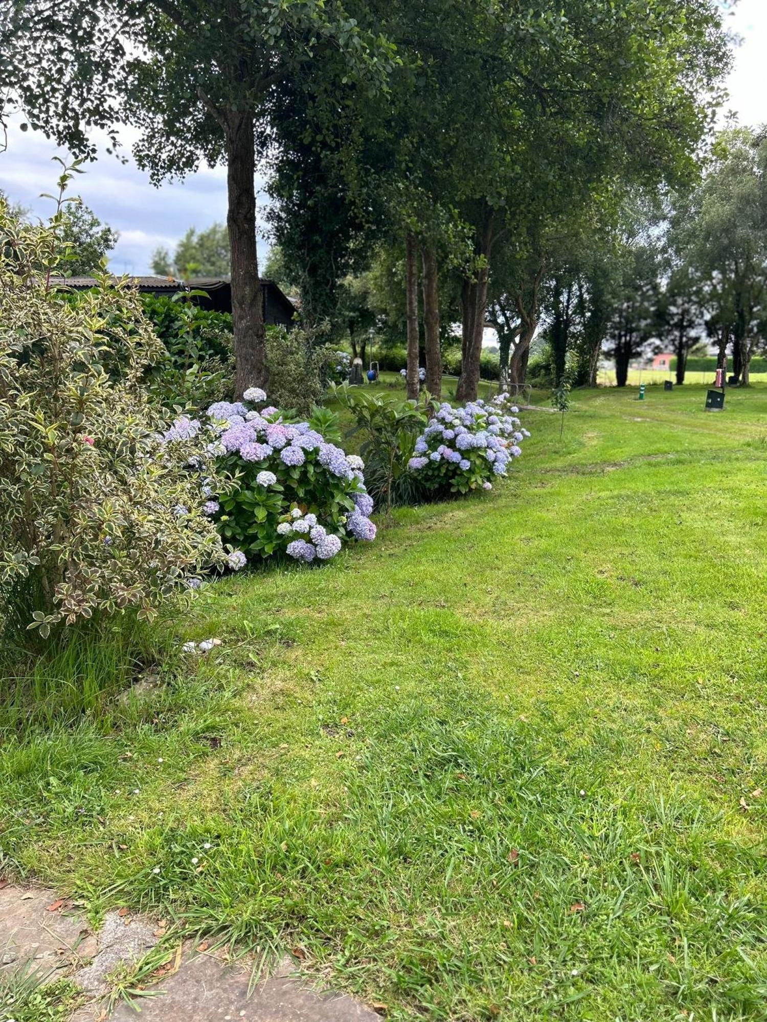 Camping A Grandella El Franco Exteriör bild