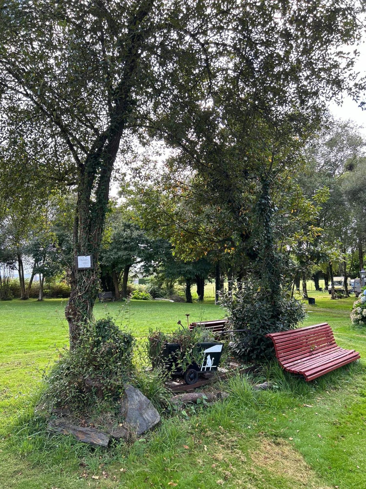 Camping A Grandella El Franco Exteriör bild